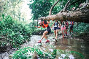 BIB: 
                            <button type="button" onclick="openModal(25453830)" class="btn btn-primary btn-sm float-right btn-popup" data-toggle="modal" data-target=".modal-high-quality">
                        <i class="fas fa-shopping-cart"></i> Add to Cart
                    </button>
                                            <button type="button" onclick="isThisMe(25453830, true)" class="btn btn-success btn-sm float-right btn-popup btn-isme hidden" data-toggle="tooltip" data-placement="bottom" title="นี่คือรูปของคุณใช่ไหม คลิกที่นี่เพื่อเอาเข้าอัลบั้ม">
                        <i class="fas fa-plus"></i> Add to album
                    </button>
                    <button type="button" onclick="isThisMe(25453830, false)" class="btn btn-warning btn-sm float-right btn-popup btn-isnotme hidden">
                        <i class="fas fa-ban"></i> Remove from album
                    </button>